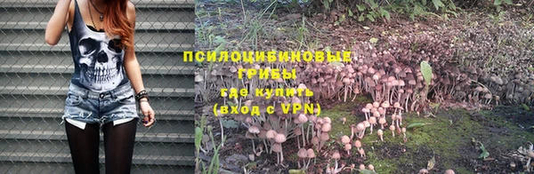 гидропоника Белокуриха