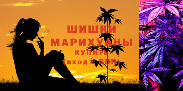 гидропоника Белокуриха